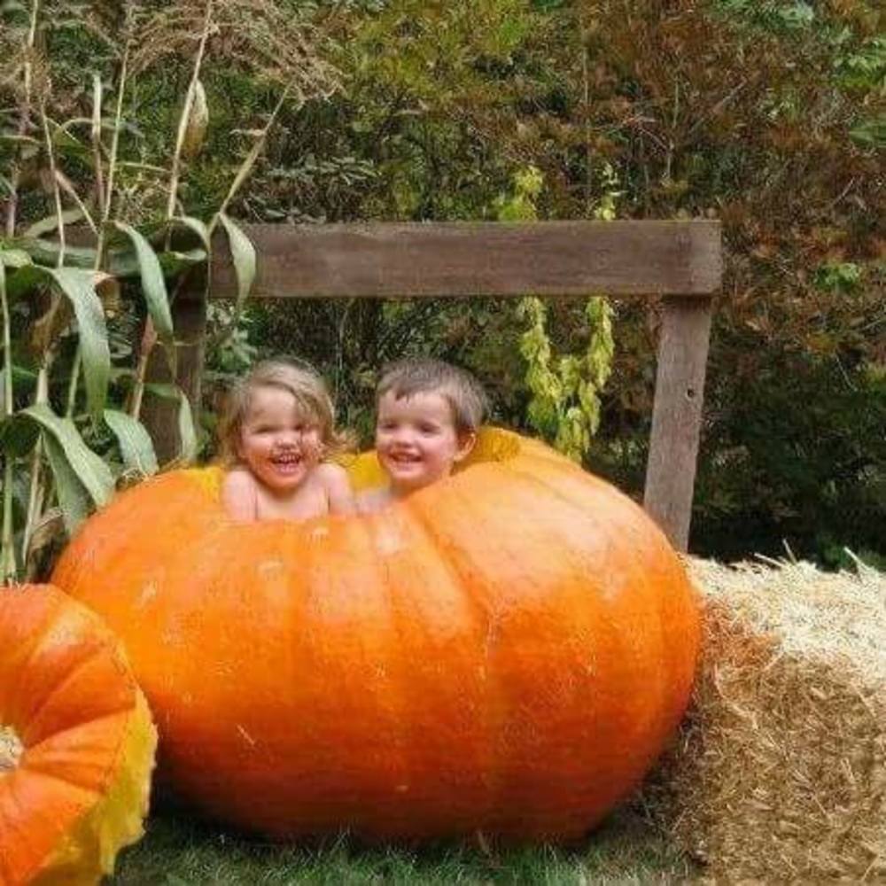 Meet your Posher, Maggie